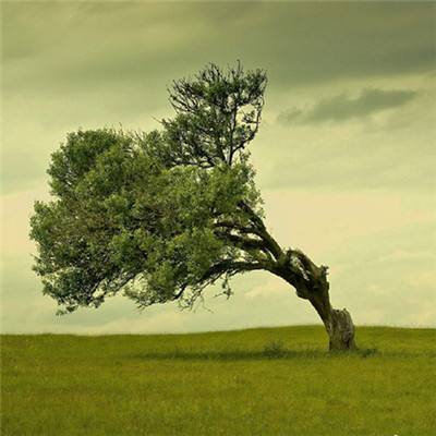 leyu乐鱼下载手机版截图