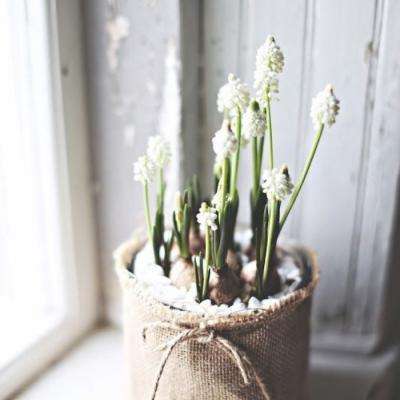 竞彩足球app截图