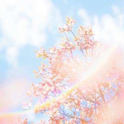 风云体育官方网站下载