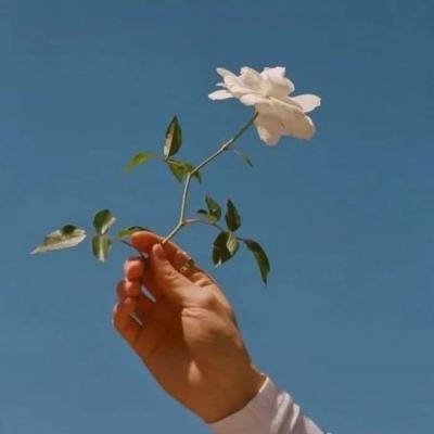 万博ManBetX登录网页版app下载